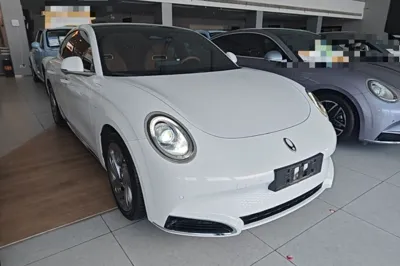 ORA Lightning Cat 2022, 24900 км, за 18189 USD