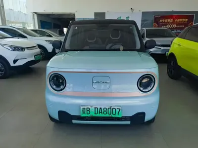 Galaxy Panda 2023, 46000 км, за 3796.28 USD
