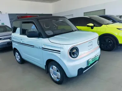 Galaxy Panda 2023, 46000 км, за 3796.28 USD