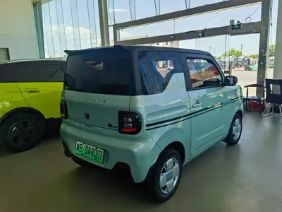 Galaxy Panda 2023, 46000 км, за 3796.28 USD
