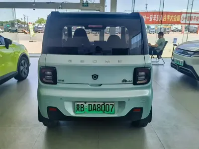 Galaxy Panda 2023, 46000 км, за 3796.28 USD