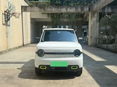 Galaxy Panda 2025, 12000 км, за 4519.18 USD