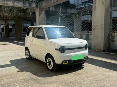Galaxy Panda 2025, 12000 км, за 4519.18 USD