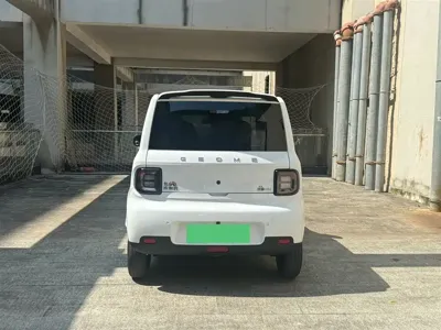 Galaxy Panda 2025, 12000 км, за 4519.18 USD