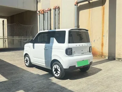 Galaxy Panda 2025, 12000 км, за 4519.18 USD