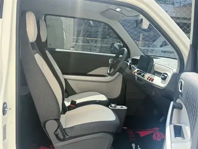 Galaxy Panda 2025, 12000 км, за 4519.18 USD - фото 9