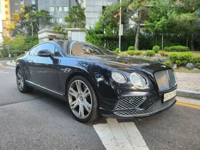 Bentley Continental 2015, 153500 км, за 19627.15 USD - фото 16