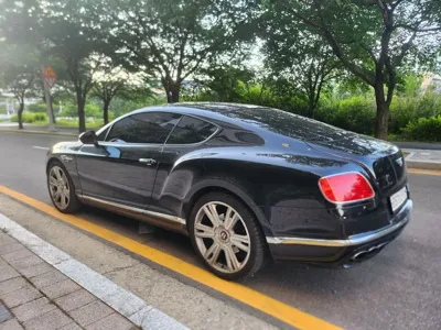 Bentley Continental 2015, 153500 км, за 19627.15 USD - фото 20