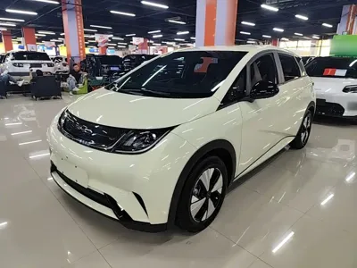 BYD Dolphin 2023, 36400 км, за 9137.55 USD
