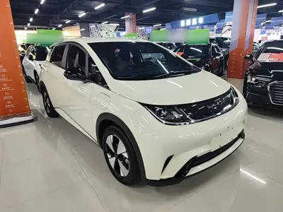BYD Dolphin 2023, 36400 км, за 9137.55 USD