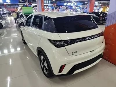 BYD Dolphin 2023, 36400 км, за 9137.55 USD