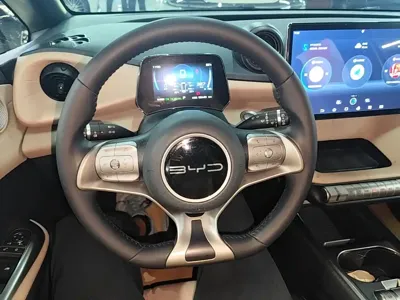 BYD Dolphin 2023, 36400 км, за 9137.55 USD - фото 11