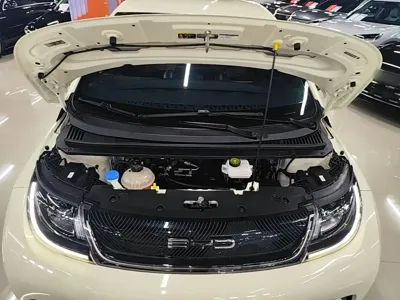 BYD Dolphin 2023, 36400 км, за 9137.55 USD - фото 20