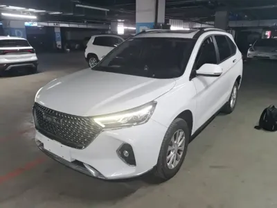 Haval M6 · 2024 год