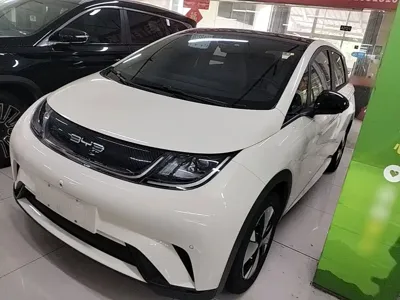 BYD Dolphin · 2023 год