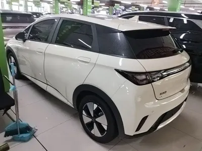 BYD Dolphin 2023, 43600 км, за 9133.91 USD