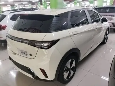 BYD Dolphin 2023, 43600 км, за 9133.91 USD - фото 7