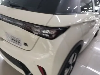 BYD Dolphin 2023, 43600 км, за 9133.91 USD - фото 8