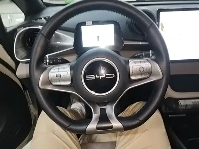 BYD Dolphin 2023, 43600 км, за 9133.91 USD - фото 11