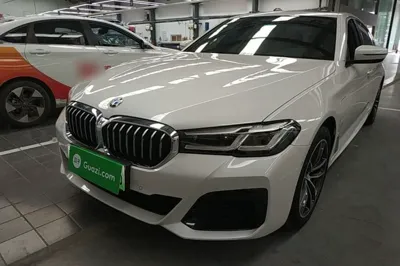 BMW 5 Series New Energy · 2021 год