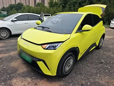 BYD Seagull · 2024 год
