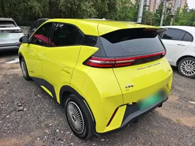 BYD Seagull 2024, 31900 км, за 7092.27 USD