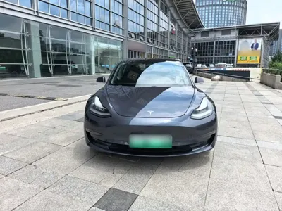 Tesla Model 3 2019, 54800 км, за 16066.55 USD