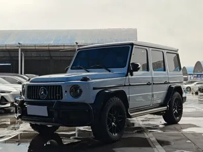 Mercedes-Benz G-Class · 2018 год