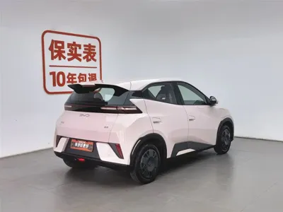 BYD Seagull 2025, 9900 км, за 7474.84 USD
