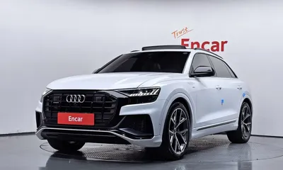 Audi Q8 · 2023 год