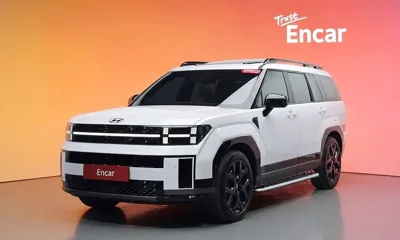 Hyundai Santafe · 2024 год