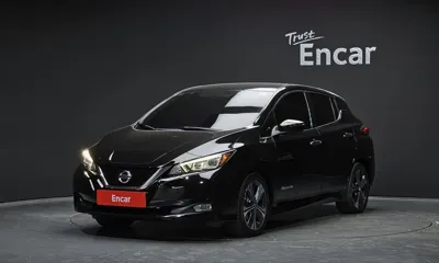 Nissan Leaf · 2019 год