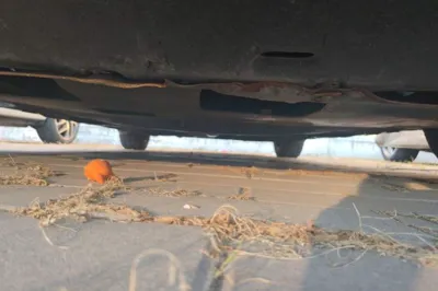 Honda Civic 2016, 139100 км, за 6998 USD - фото 29