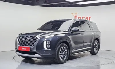 Hyundai Palisade · 2019 год
