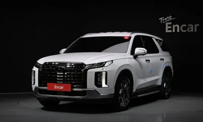 Hyundai Palisade · 2024 год