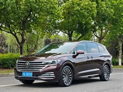 Volkswagen Viloran