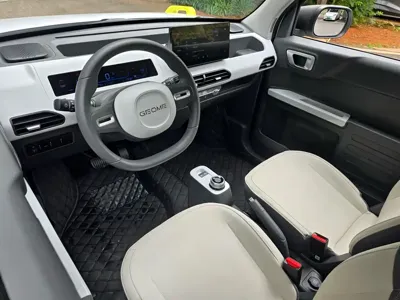 Galaxy Panda 2023, 13000 км, за 4205.31 USD