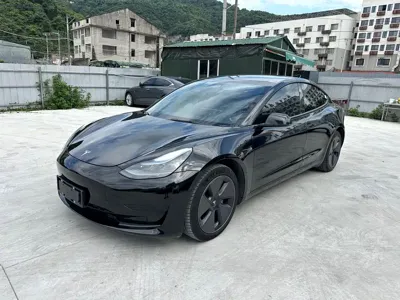 Tesla Model 3 · 2022 год