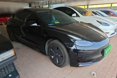 Tesla Model 3 2022, 102700 км, за 22646 USD