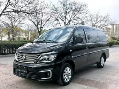 Fengxing Lingzhi · 2019 год