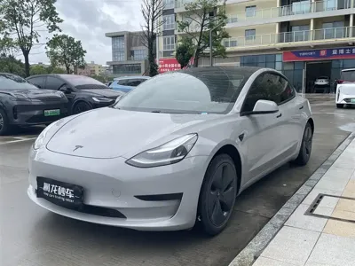 Tesla Model 3 · 2020 год