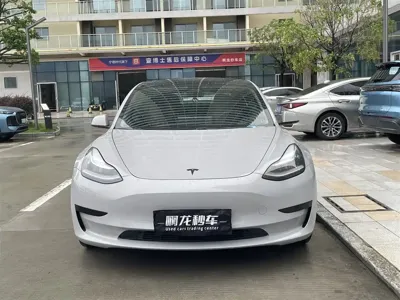 Tesla Model 3 2020, 69000 км, за 16009.11 USD