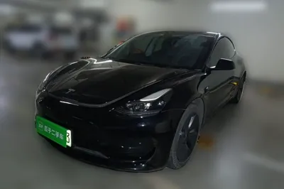 Tesla Model 3 · 2021 год