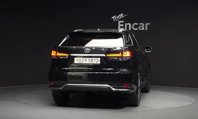 Lexus RX 2020, 131227 км, за 32551.92 USD