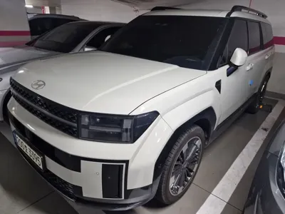 Hyundai Santafe · 2024 год