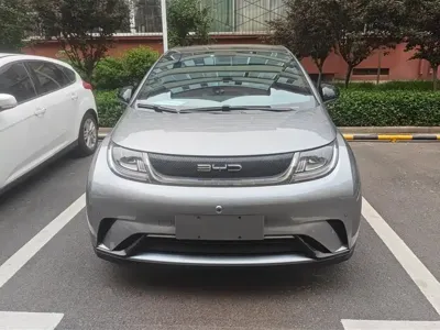 BYD Dolphin 2023, 18300 км, за 9652.55 USD