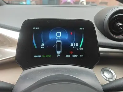 BYD Dolphin 2023, 18300 км, за 9652.55 USD - фото 14