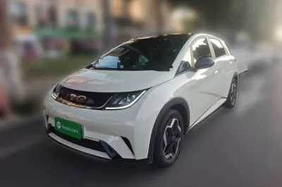 BYD Dolphin · 2021 год