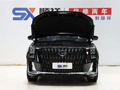 GAC Motor Trumpchi ES9 2024, 46900 км, за 19099.1 USD - фото 19
