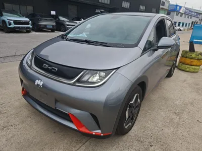 BYD Dolphin · 2021 год
